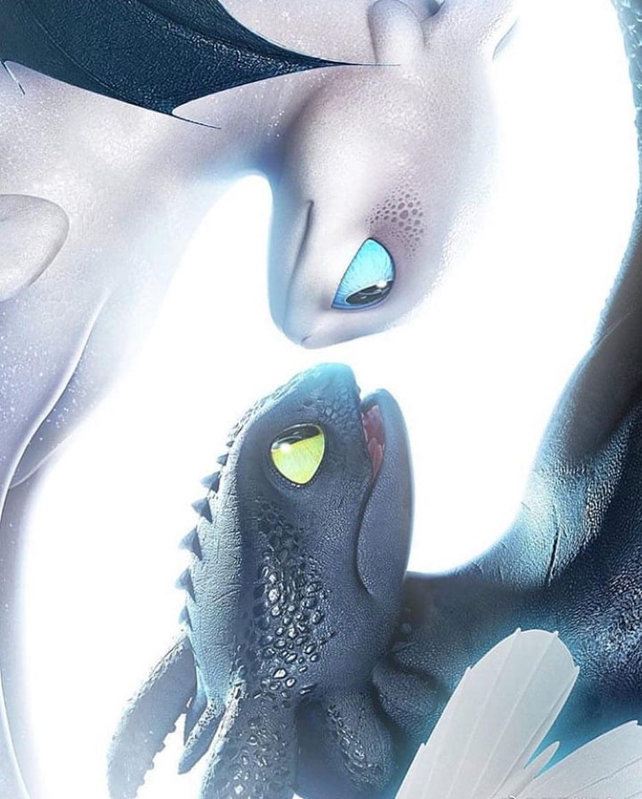 schoolofdragons Instagram photo and videos