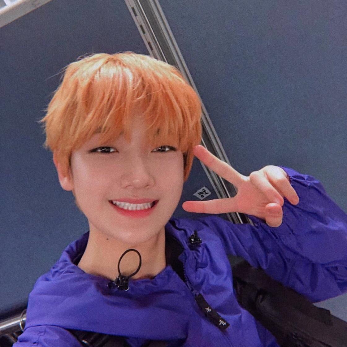 doyum icons