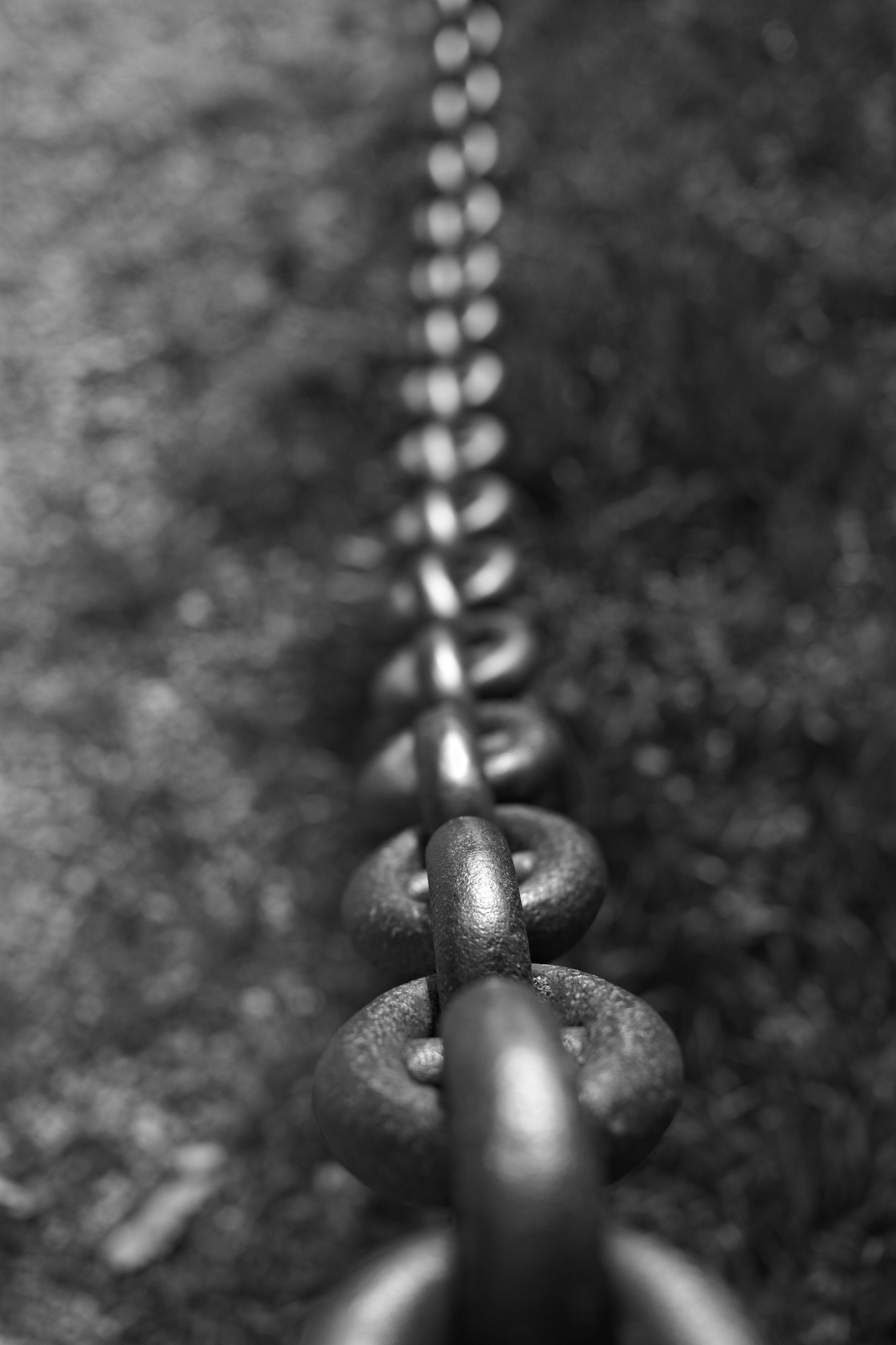 Beautiful Chains Photo
