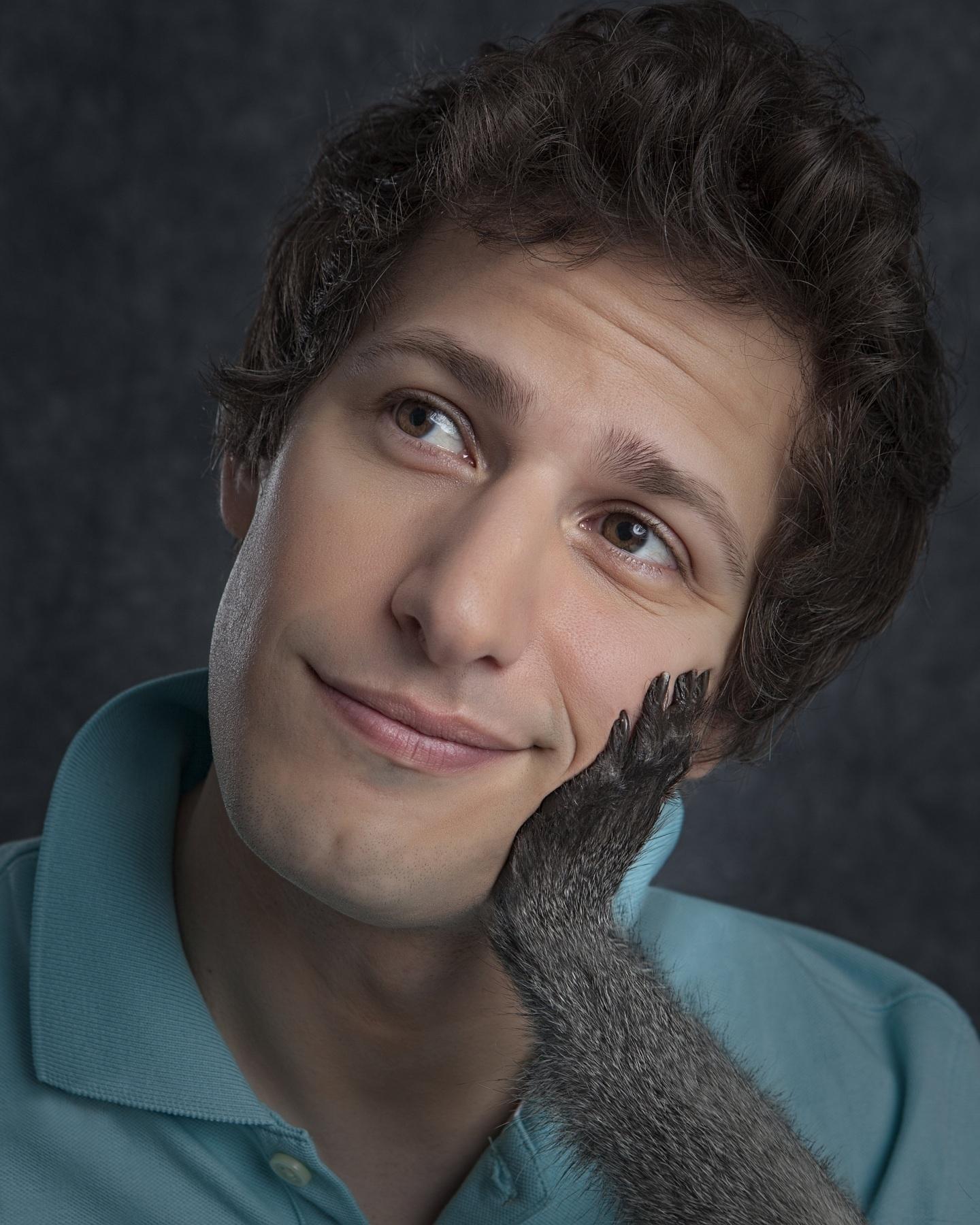 Andy Samberg Wallpaper #O38G69G (1440x1800). EDecorati.com™