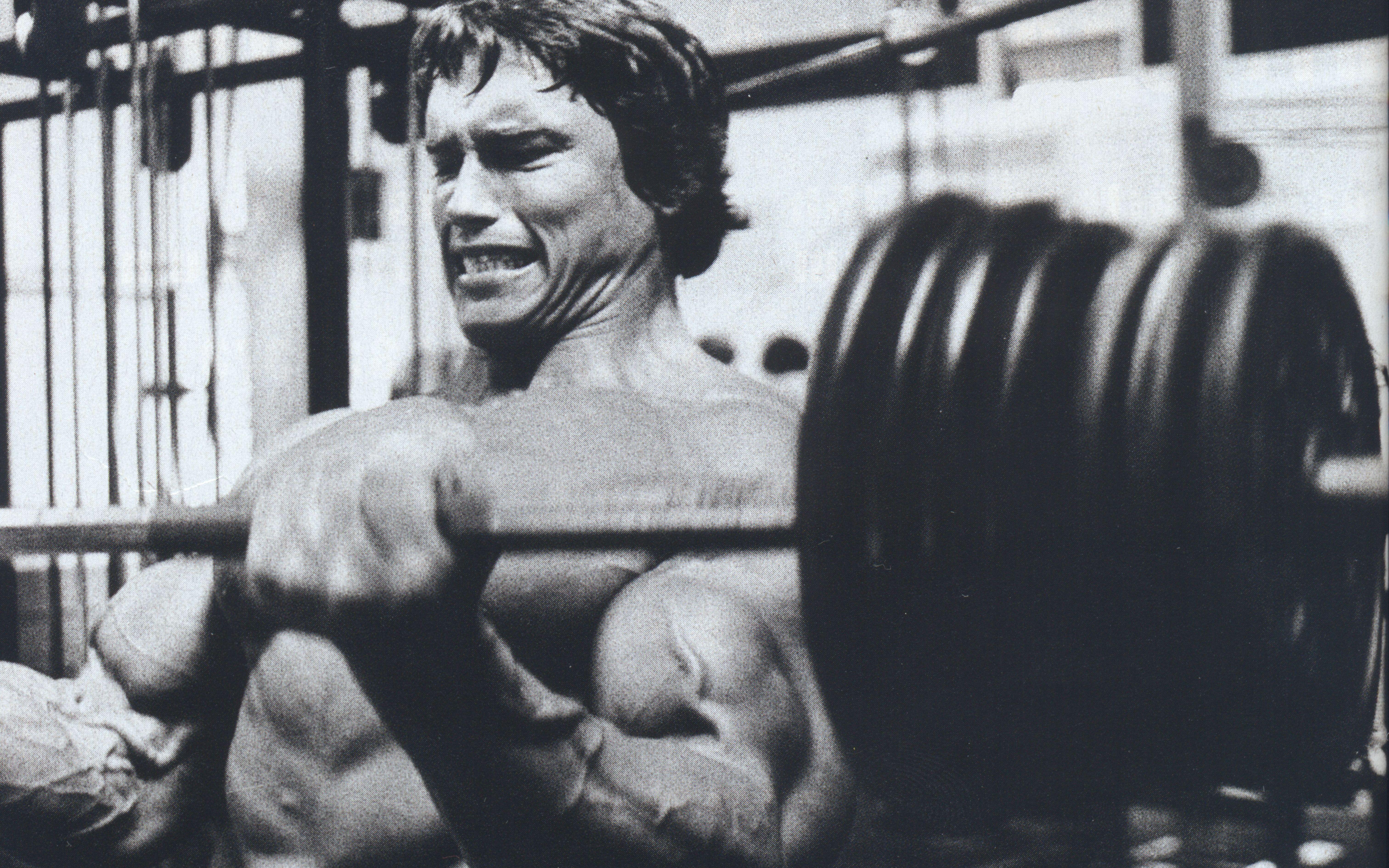 Arnold Schwarzenegger, muscles, training wallpaper