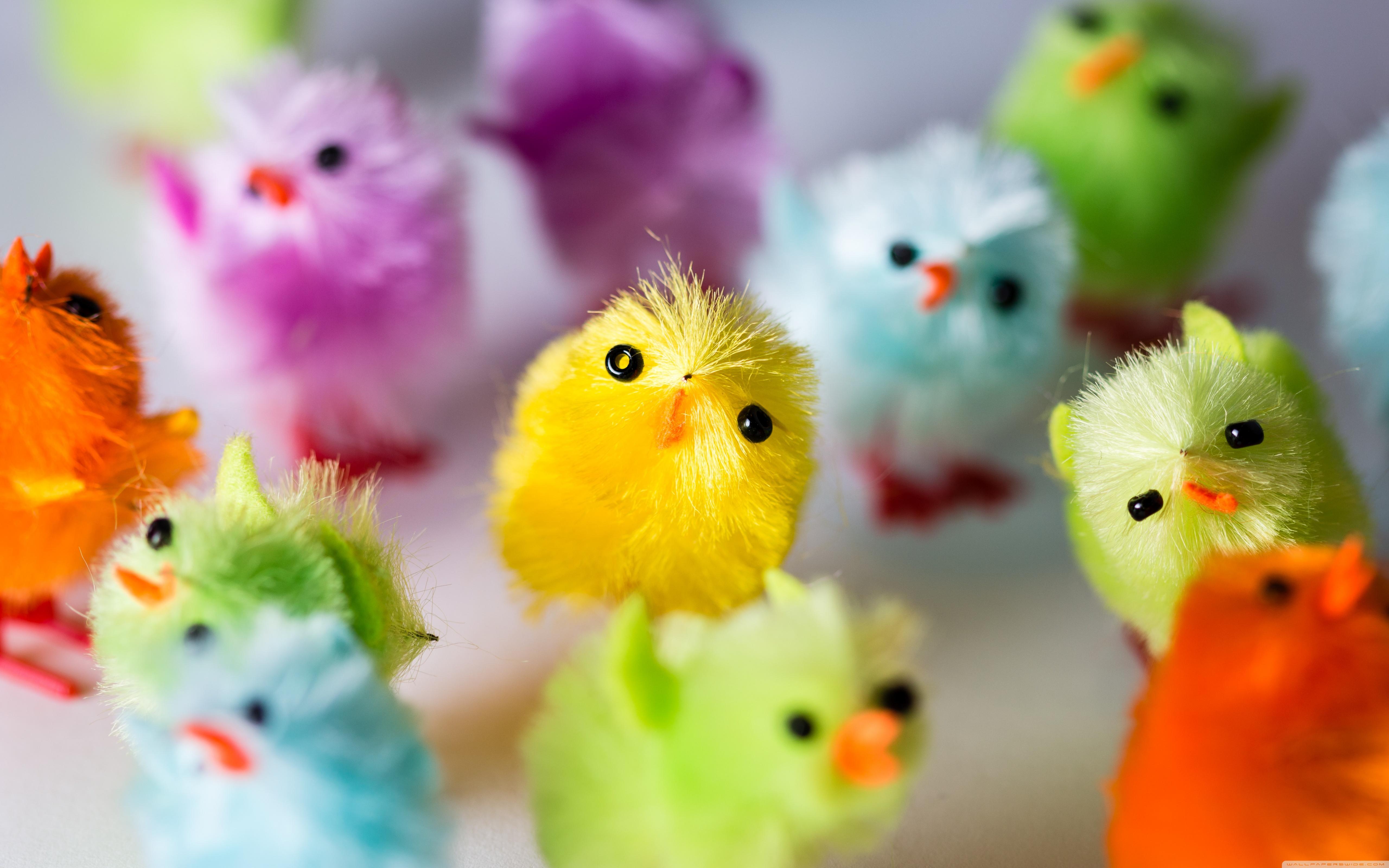 Multi Colored Easter Chicks ❤ 4K HD Desktop Wallpaper for 4K Ultra