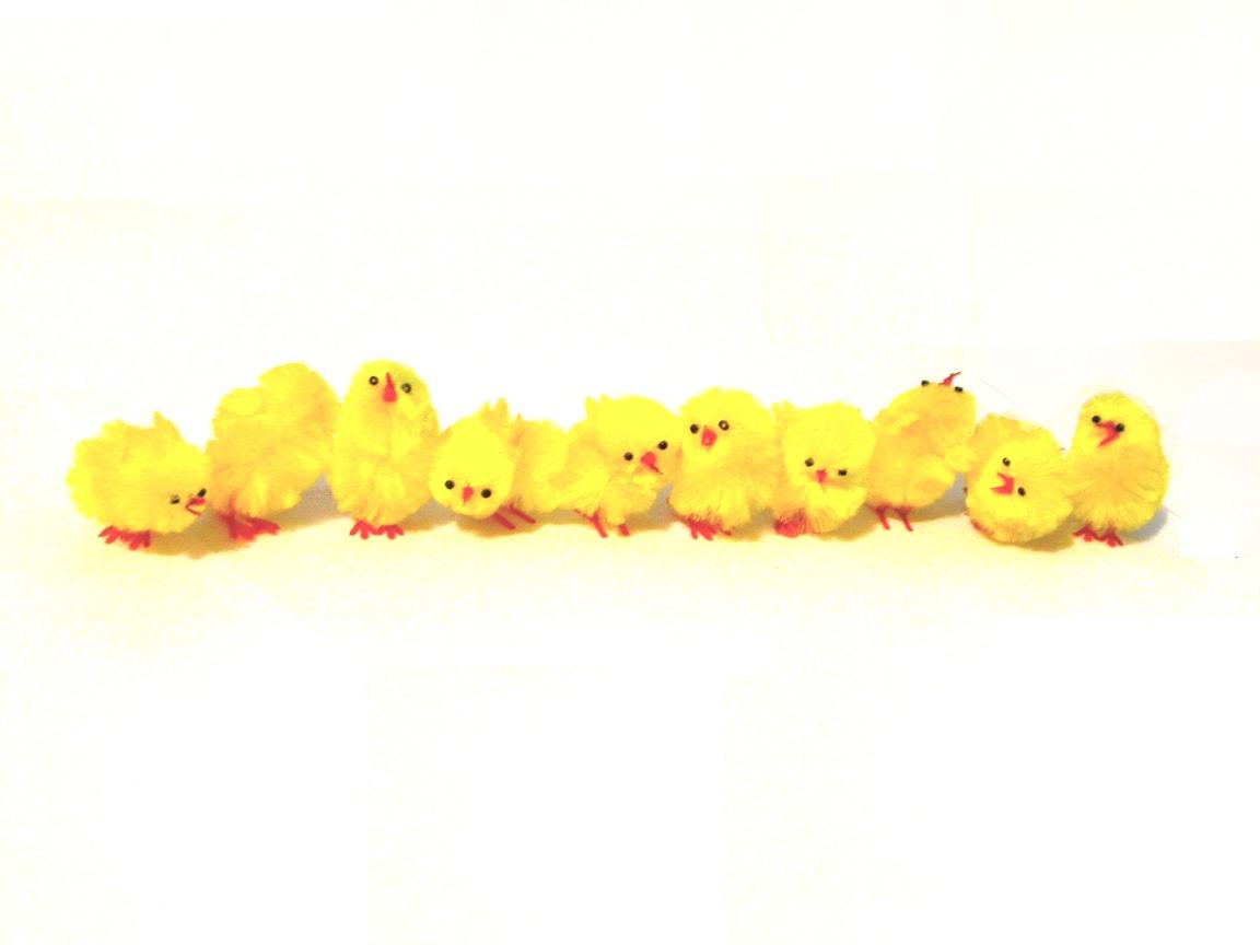 Chicks Wallpapers - Wallpaper Cave
