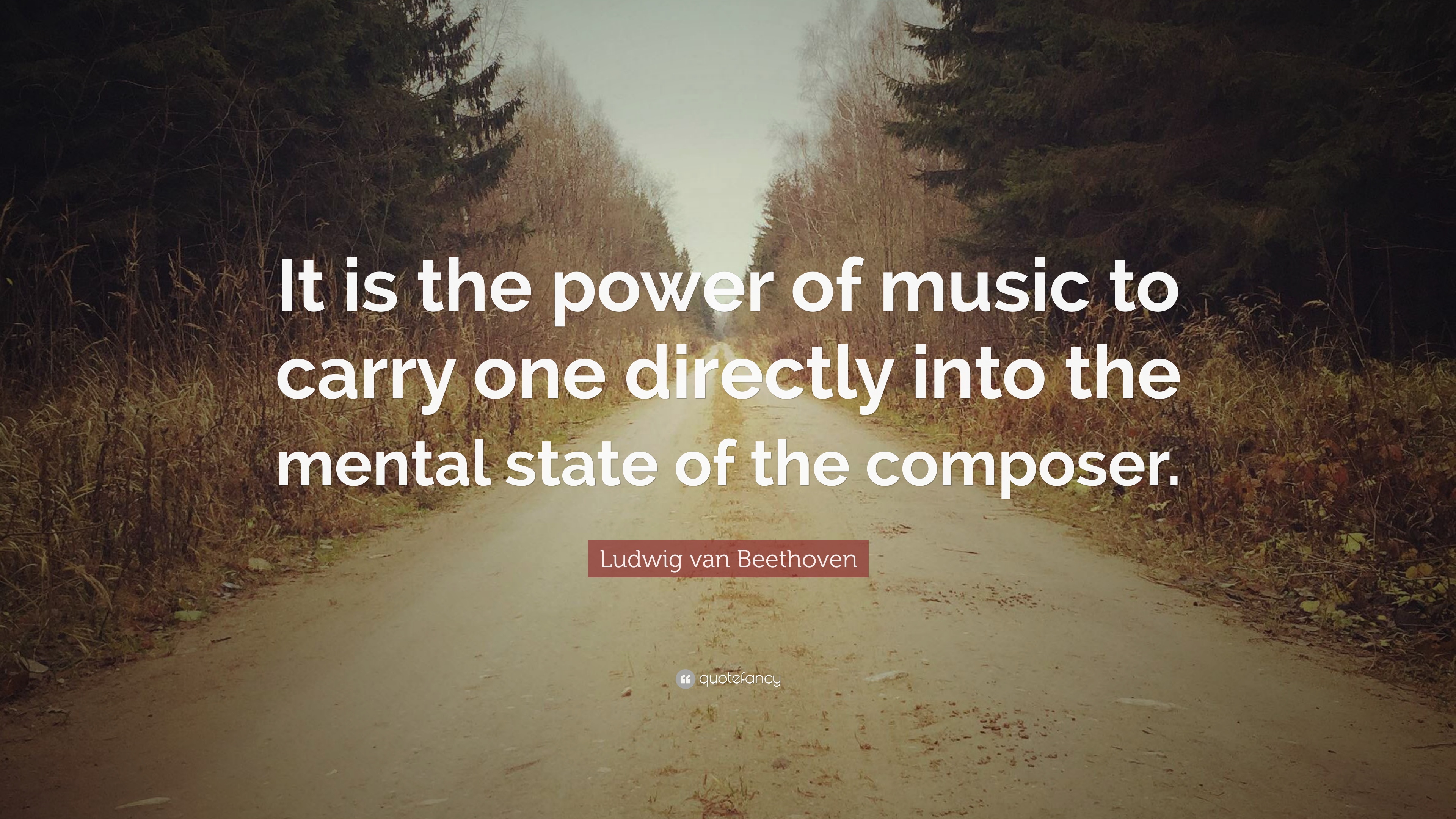 Ludwig van Beethoven Quote: “It is the power of music to carry one
