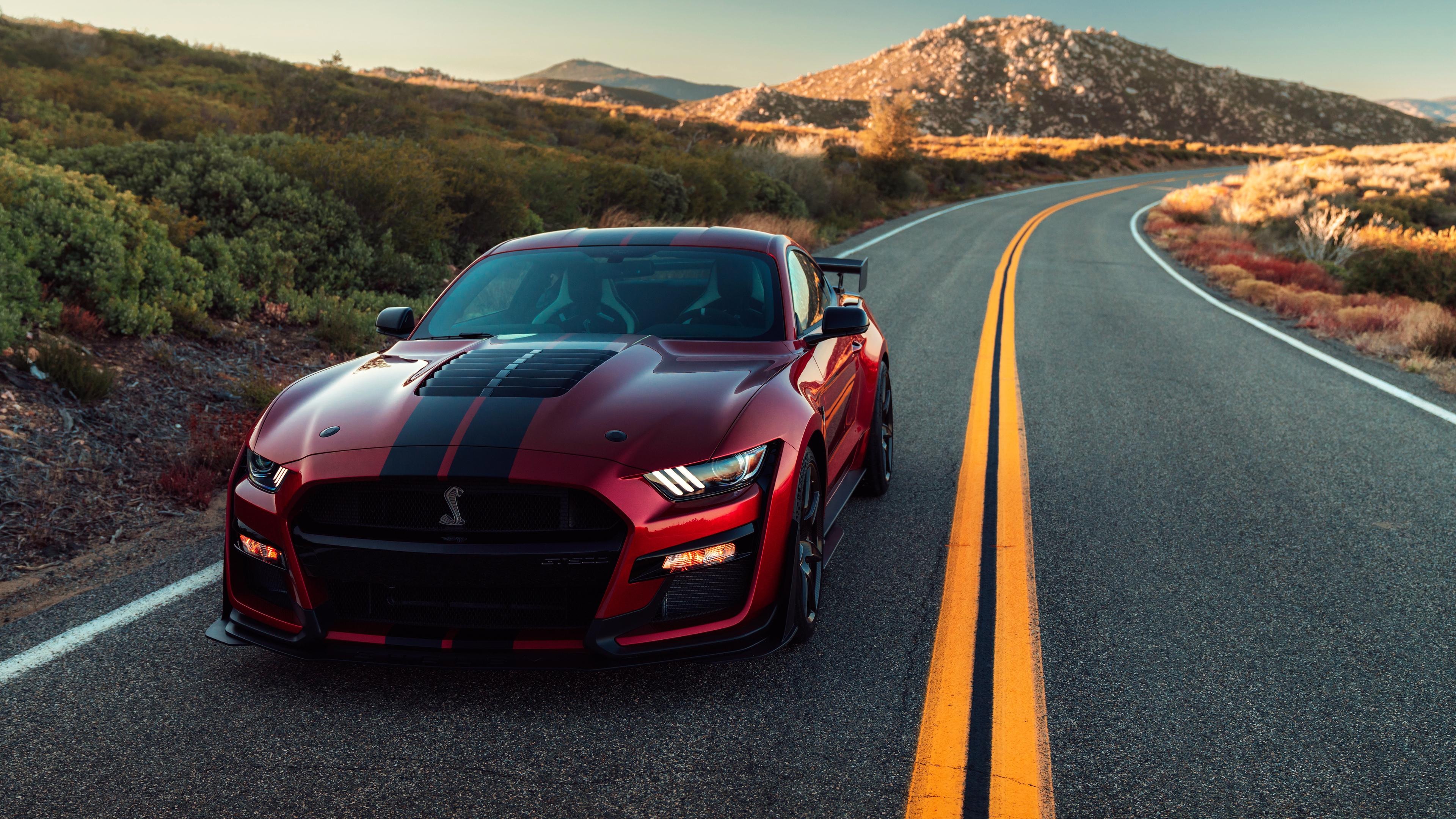 Wallpapers 4k 2020 Ford Mustang Shelby GT500 4k 2019 cars
