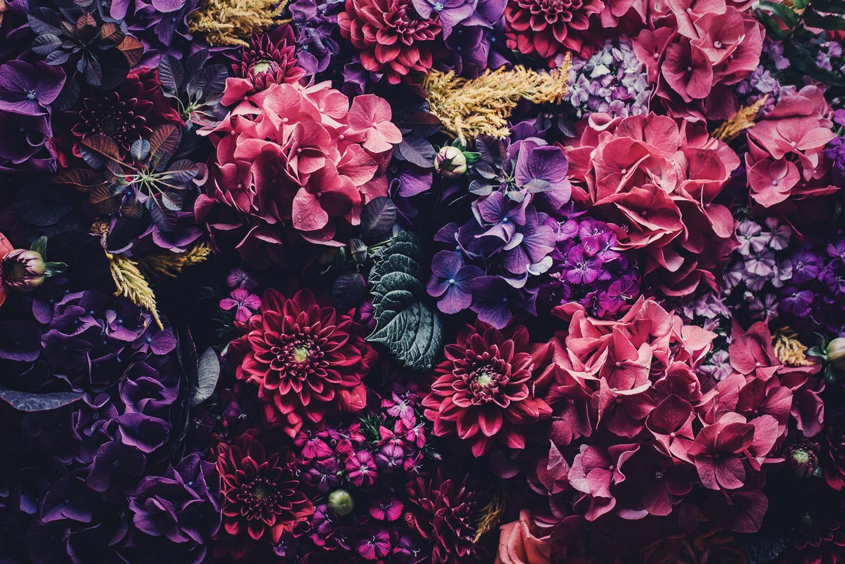 Floral iPhone Wallpaper To Celebrate 65k Followers