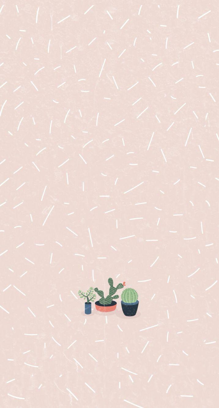 Succulent Pastel iPhone Wallpaper iPhone Wallpaper