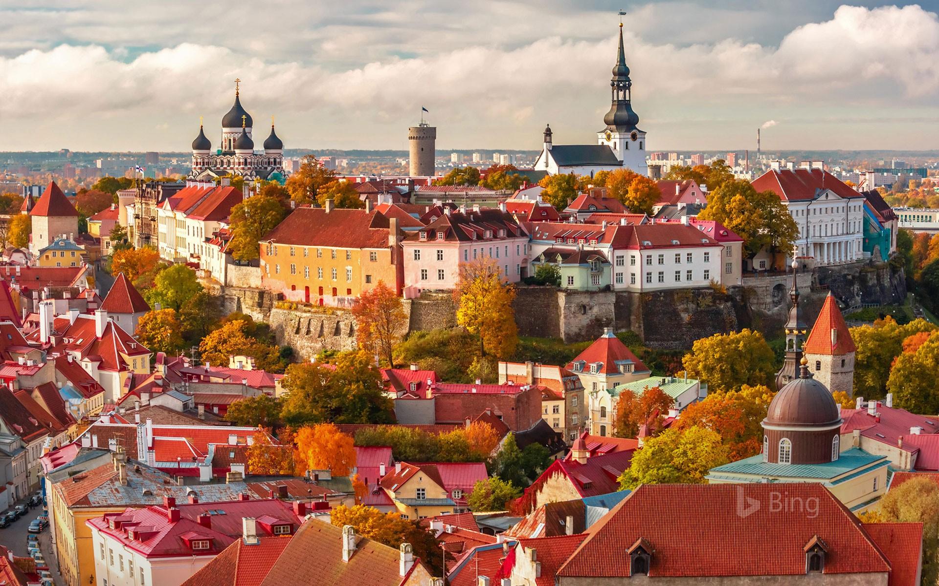 Таллин старый город осень