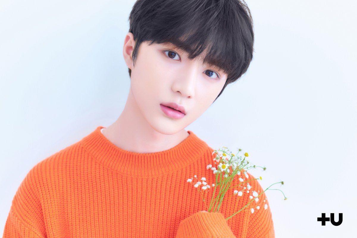 TXT Members Profile, Facts and Ideal Type