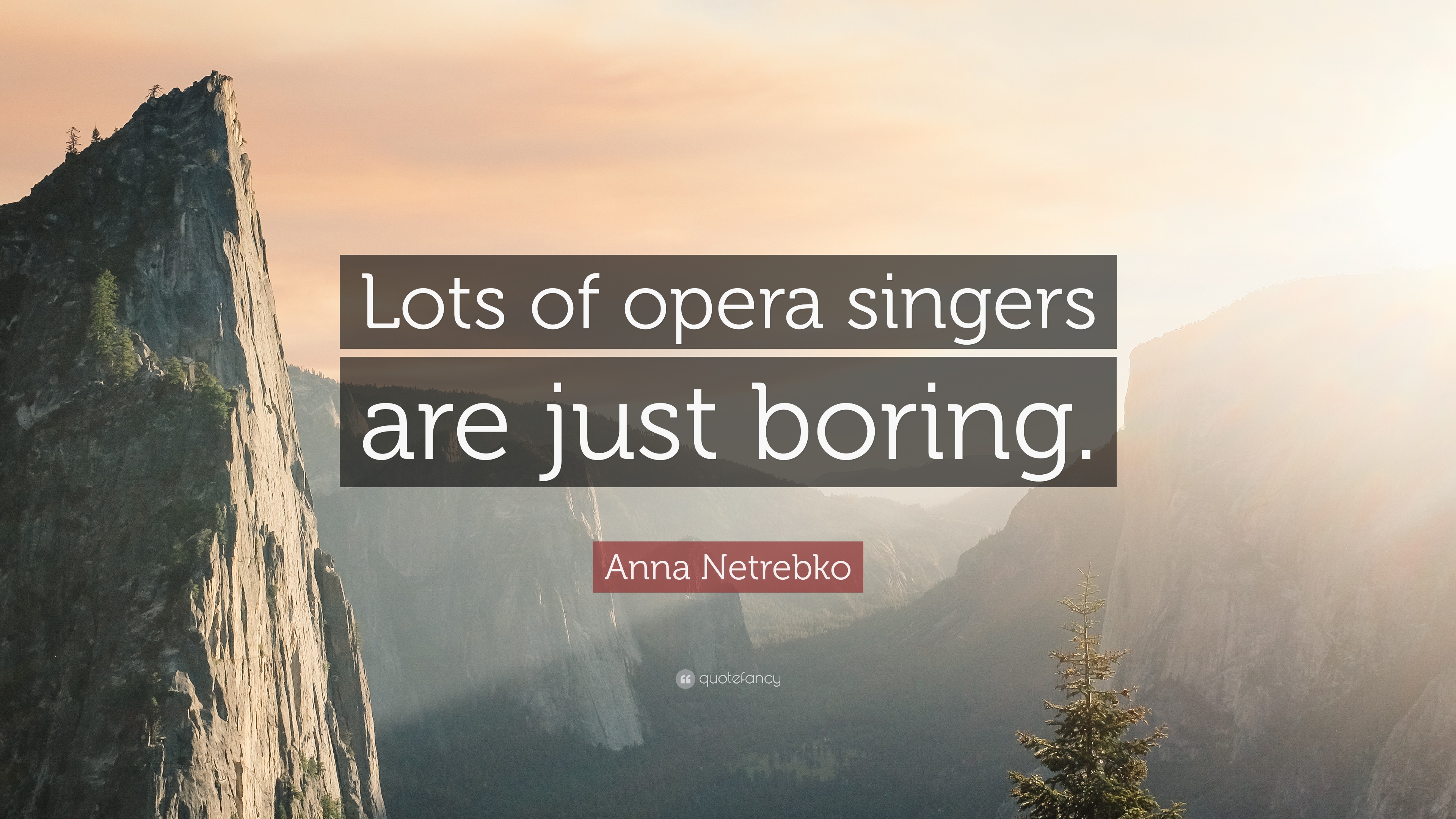 Anna Netrebko Quote: “Lots of opera singers are just boring.” 10
