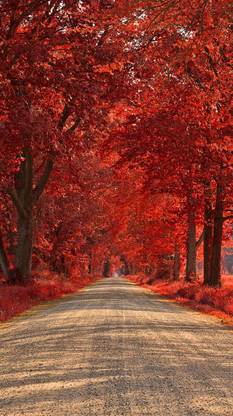 Best iPhone 6 Wallpaper & Background in HD Quality