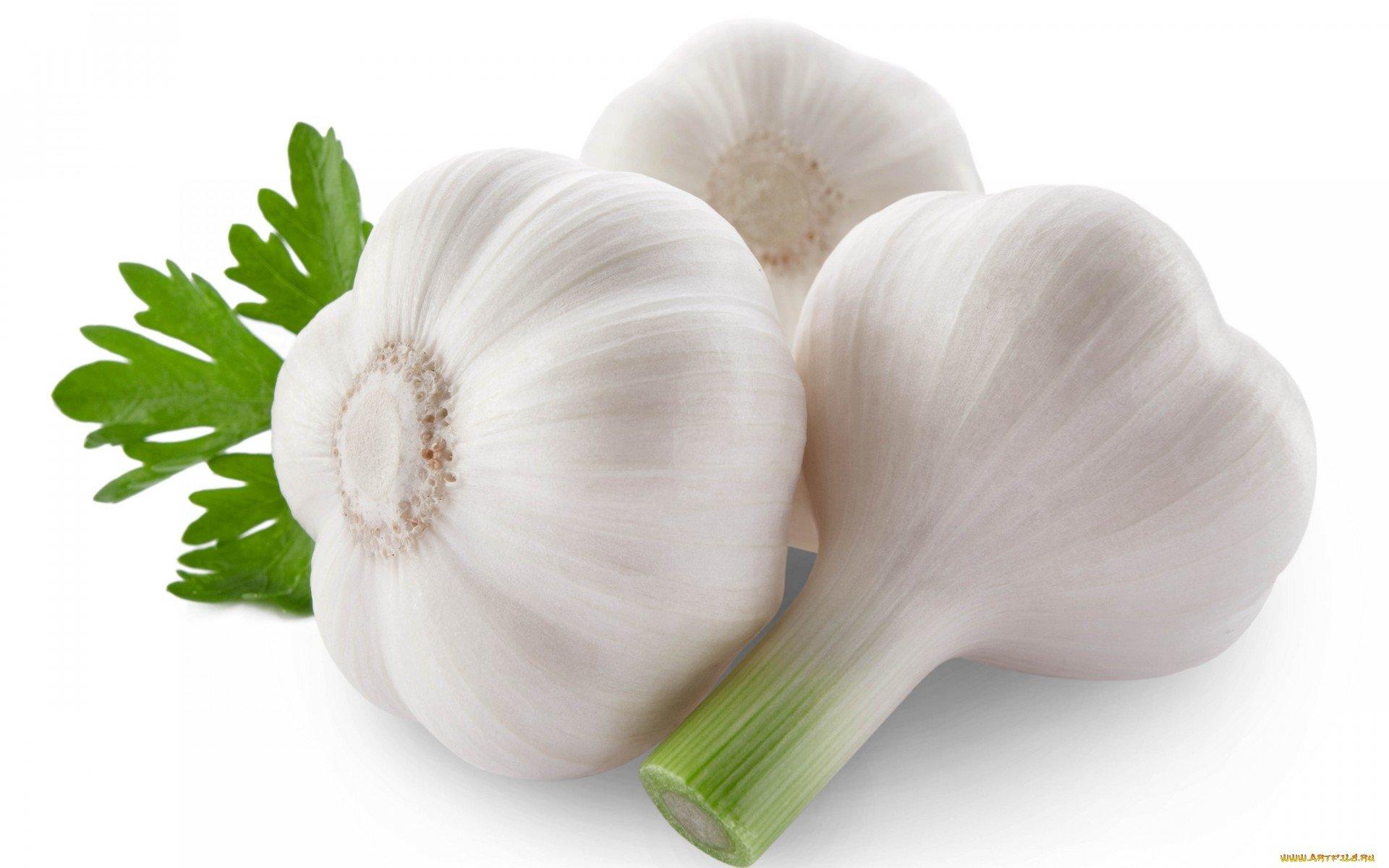Garlic HD Wallpaper and Background Image