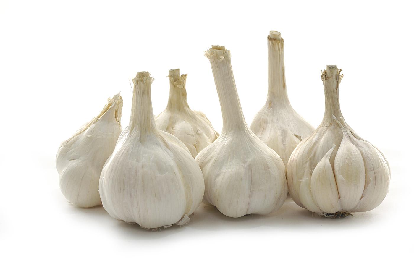 Garlic 49995