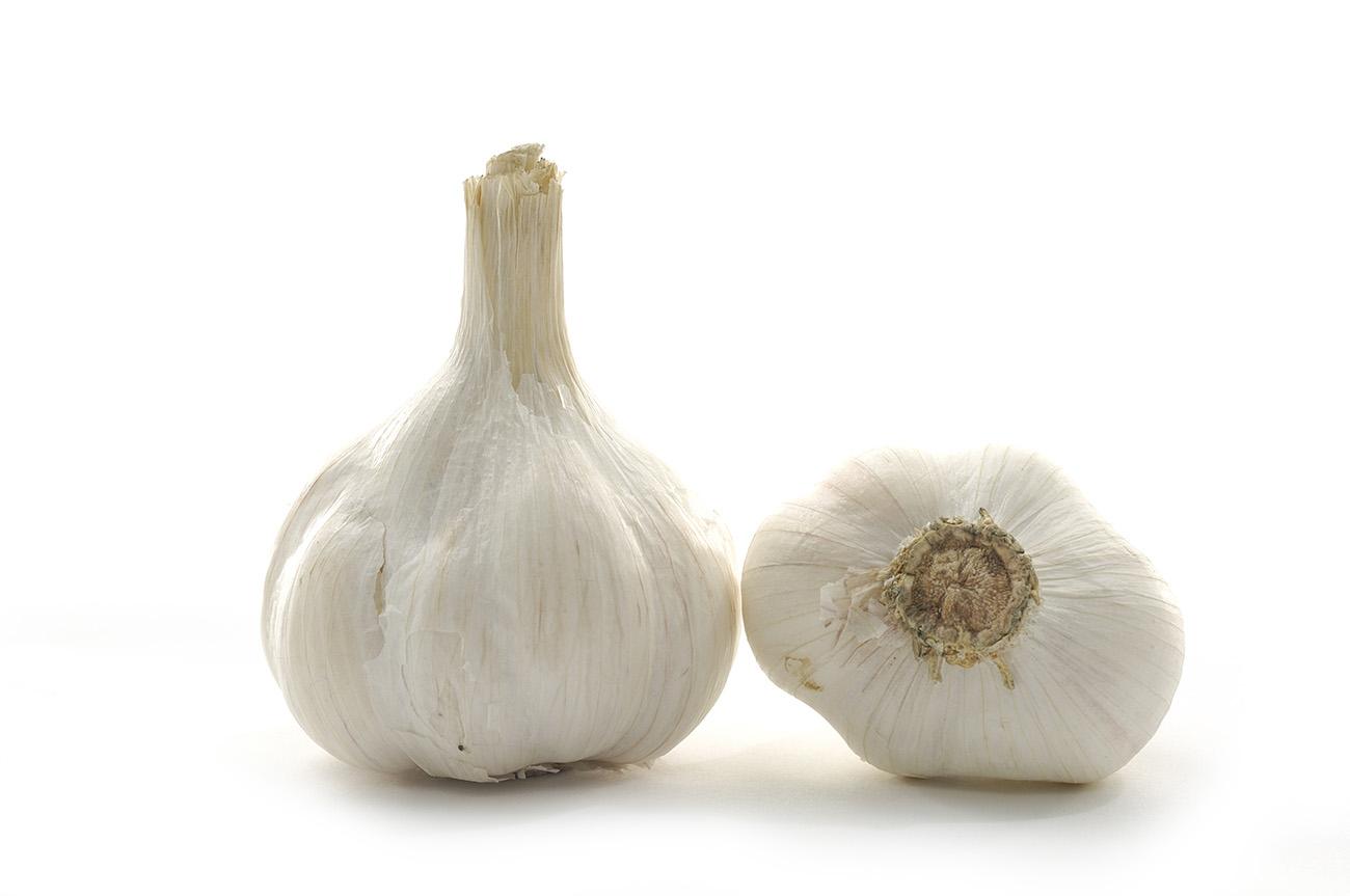 Garlic 49957