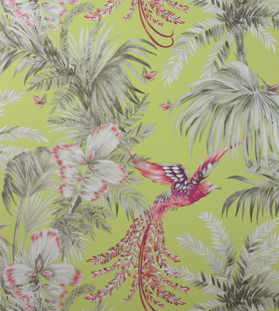 Bird Of Paradise Wallpaper