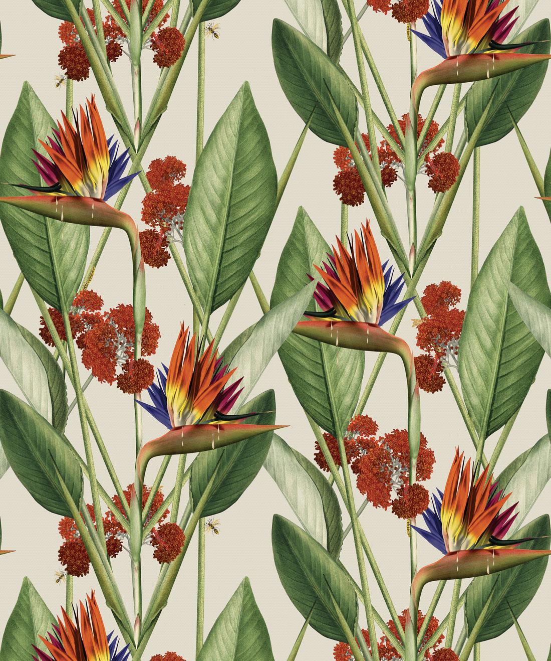 Birds Of Paradise Wallpaper • Bold Large Scale Floral