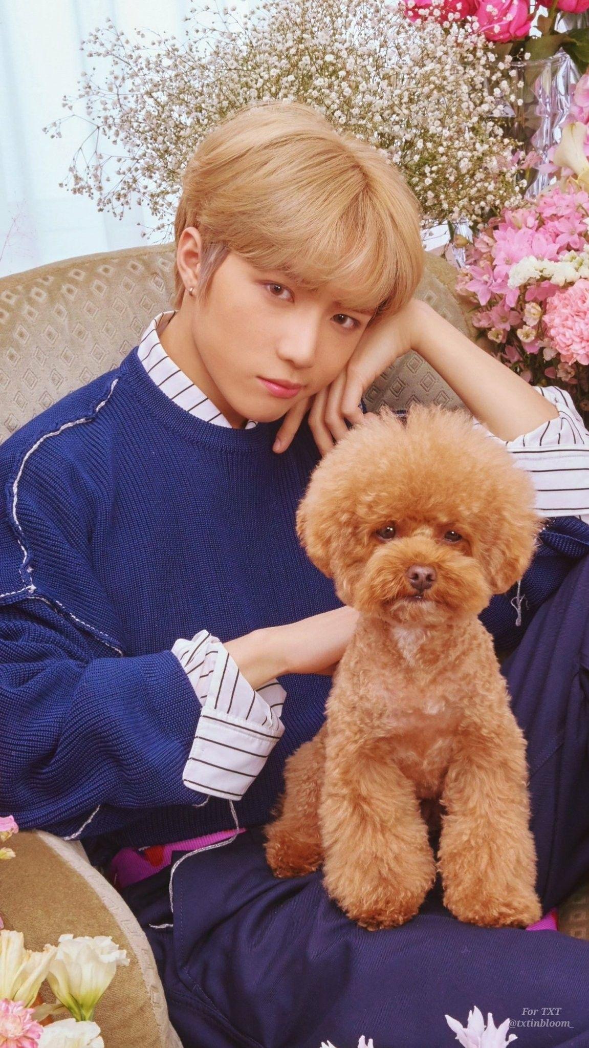 Cat & Dog> Concept Photo - #BEOMGYU WALLPAPERS #TOMORROW_X_TOGETHER