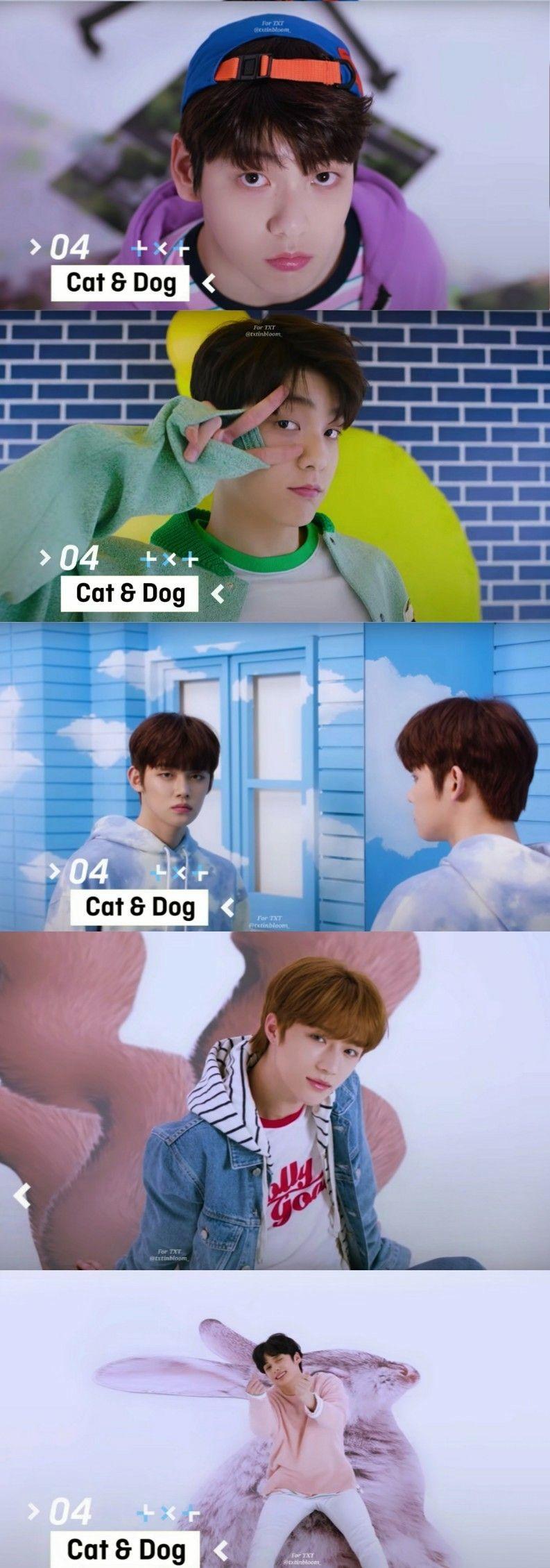 The Dream Chapter: STAR Preview (Cat & Dog) #TOMORROW_X_TOGETHER