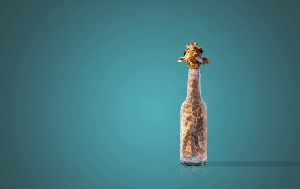 Giraffe in a Bottle wallpaper. Giraffe in a Bottle
