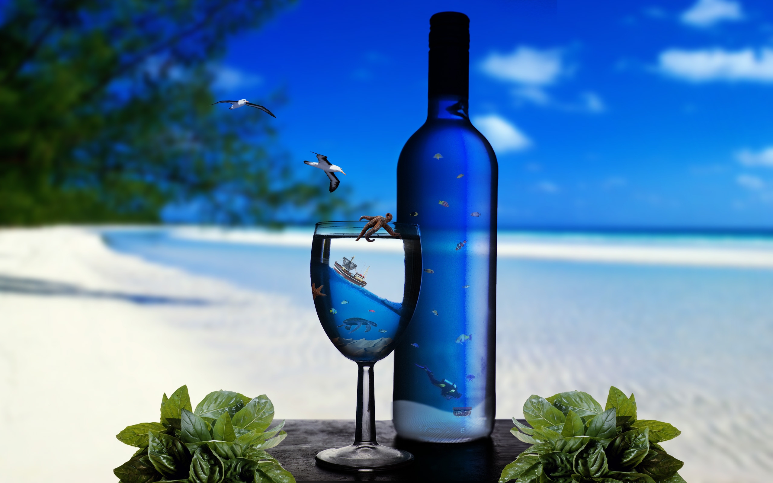 Sea World in a Bottle and Glass widescreen wallpaper. Wide