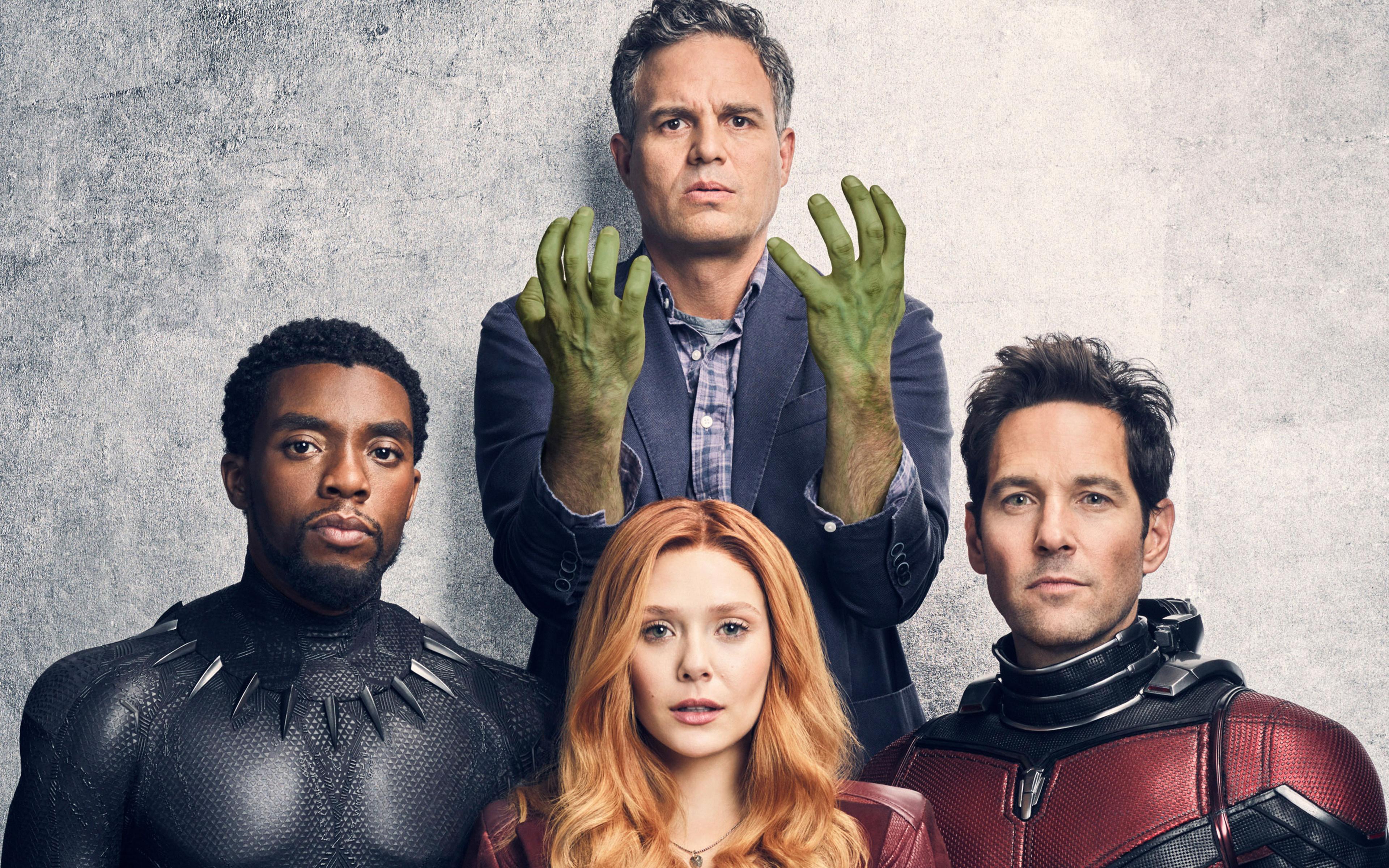 Avengers Infinity War Black Panther Hulk Scarlet Witch Ant Man 4K