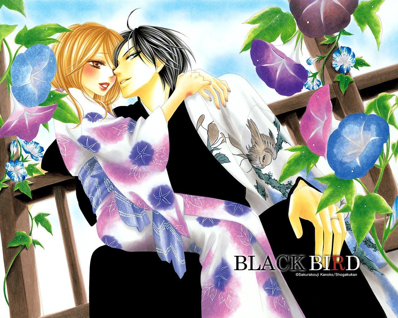 Black Bird and Scan Gallery