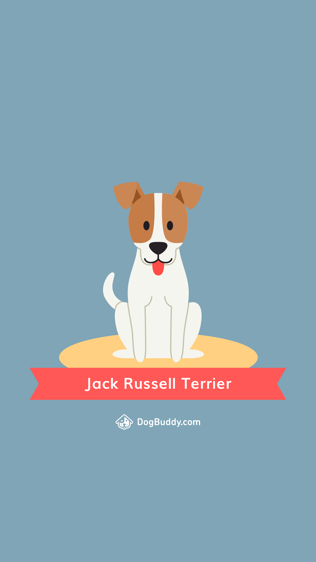 Woofpaper: Jack Russell Terrier