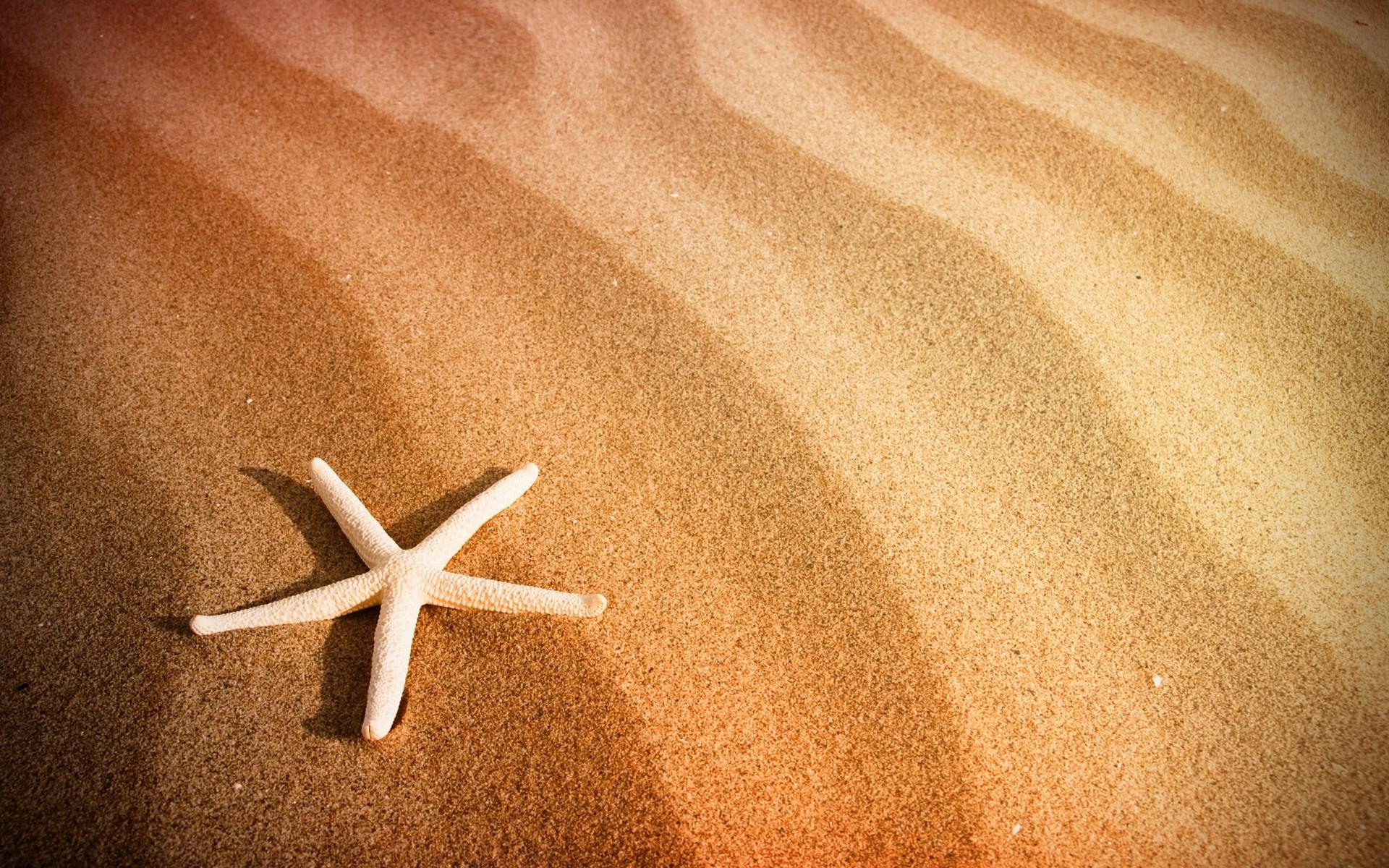 Beautiful Beach Sand Wallpaper