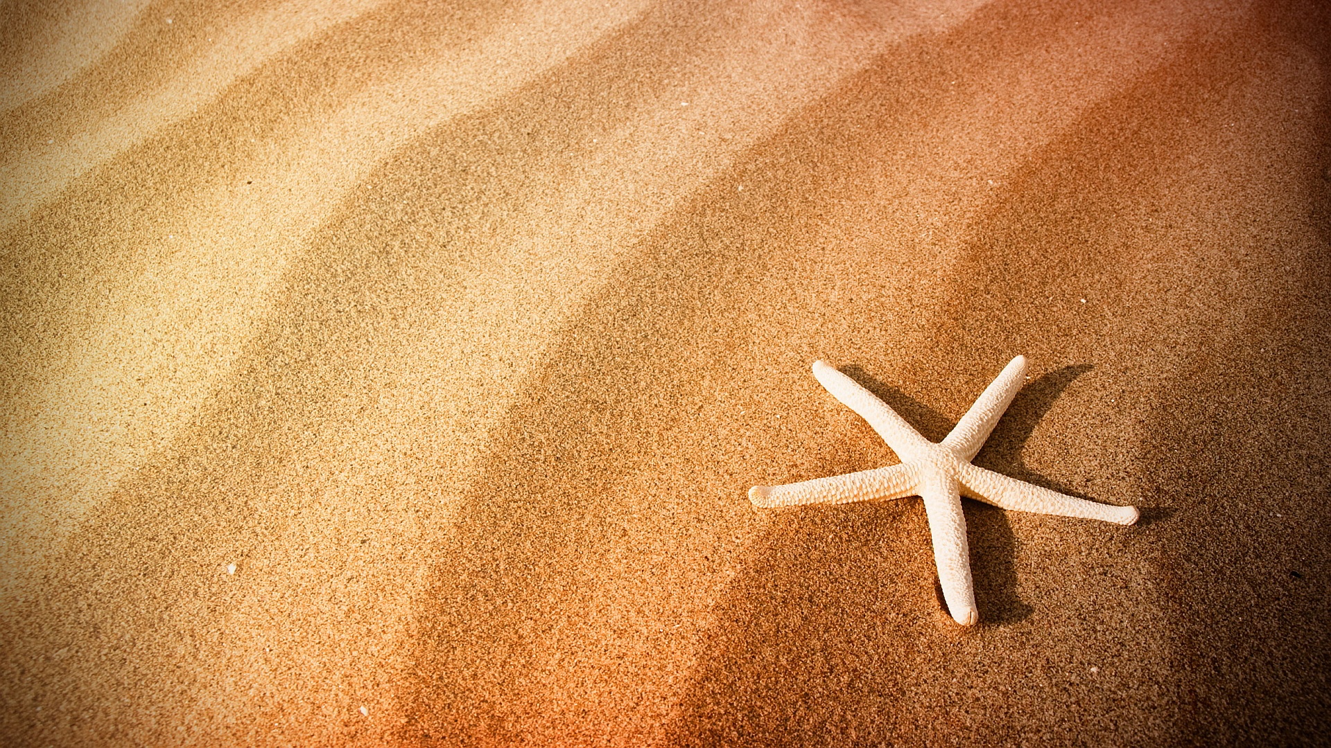 Beach Sand Starfish Wallpaper In 1920X1080