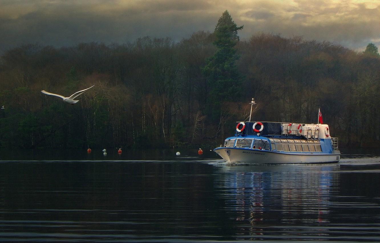 Wallpaper autumn, forest, ship, England, Seagull, lake Windermere
