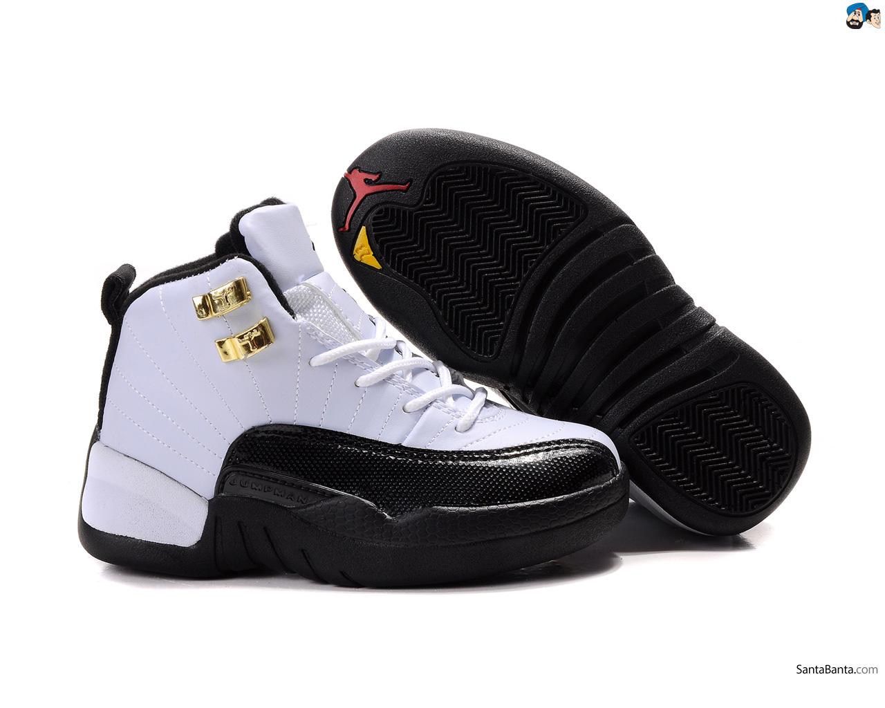 Air Jordan 12 Shoes