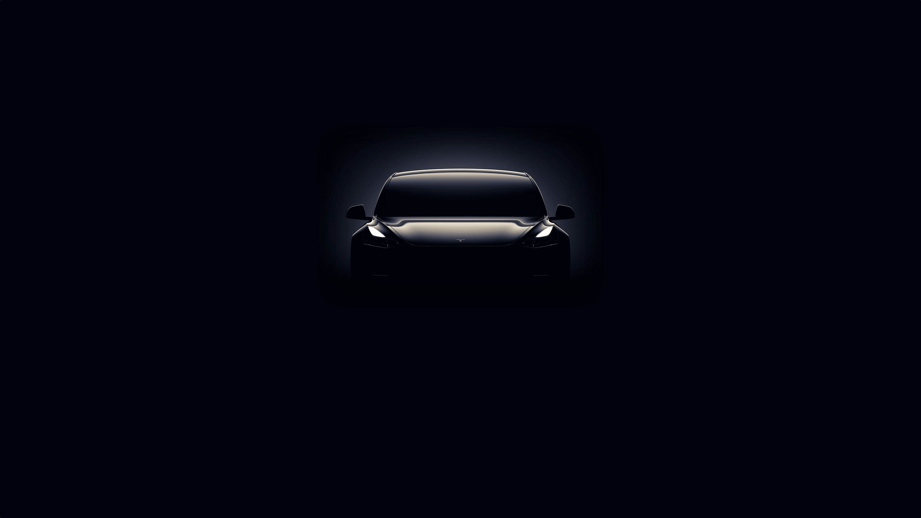 Created a desktop wallpaper from the Model 3 invite email