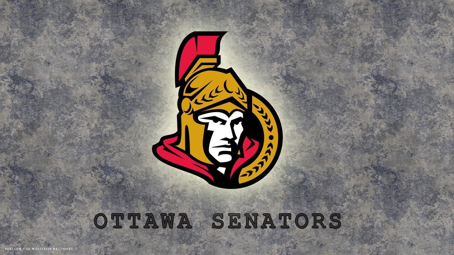 ottawa senators nfl hockey team HD widescreen wallpaper / hockey