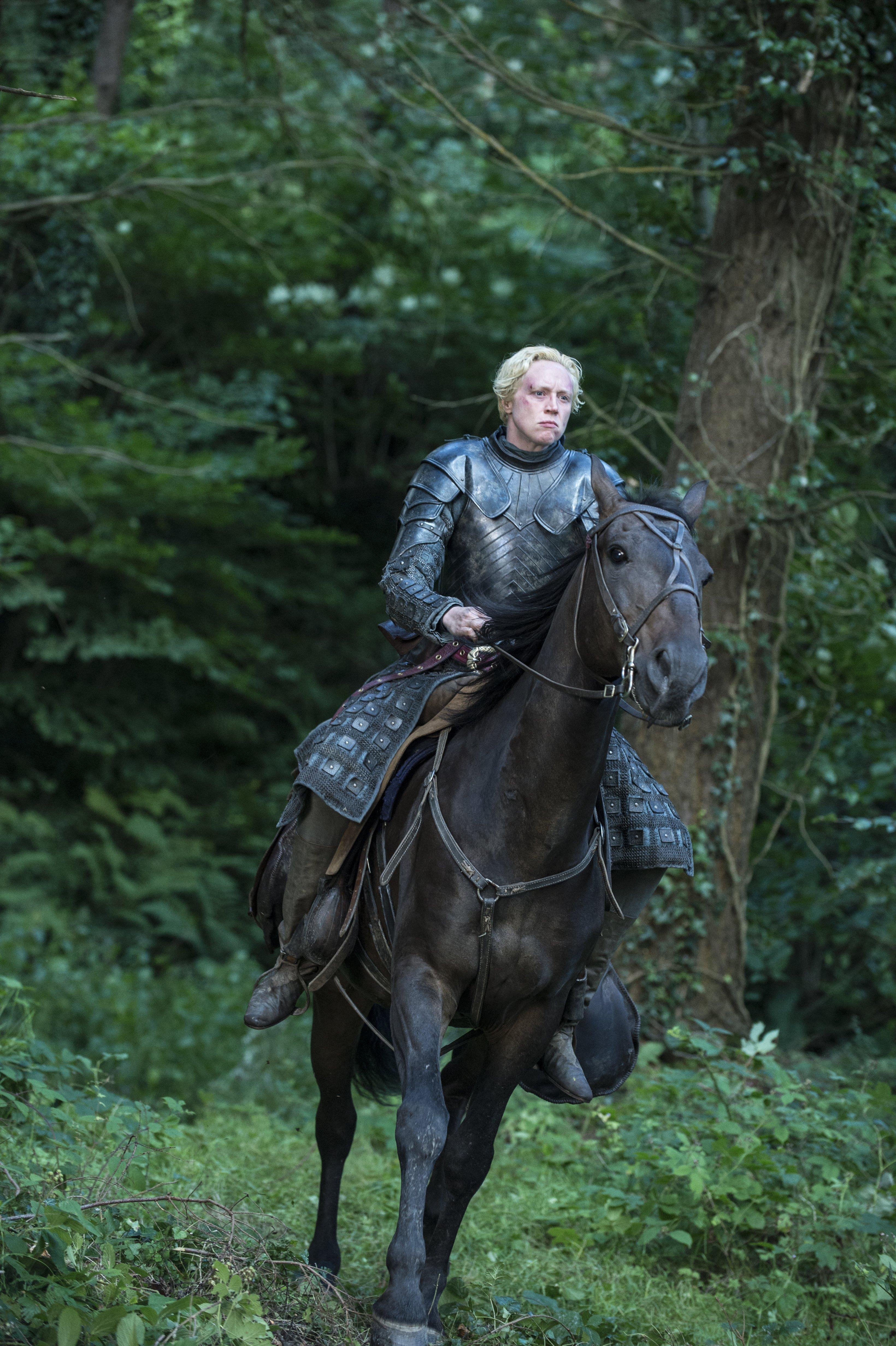 Brienne of Tarth image Brienne Of Tarth Season 5 HD wallpaper