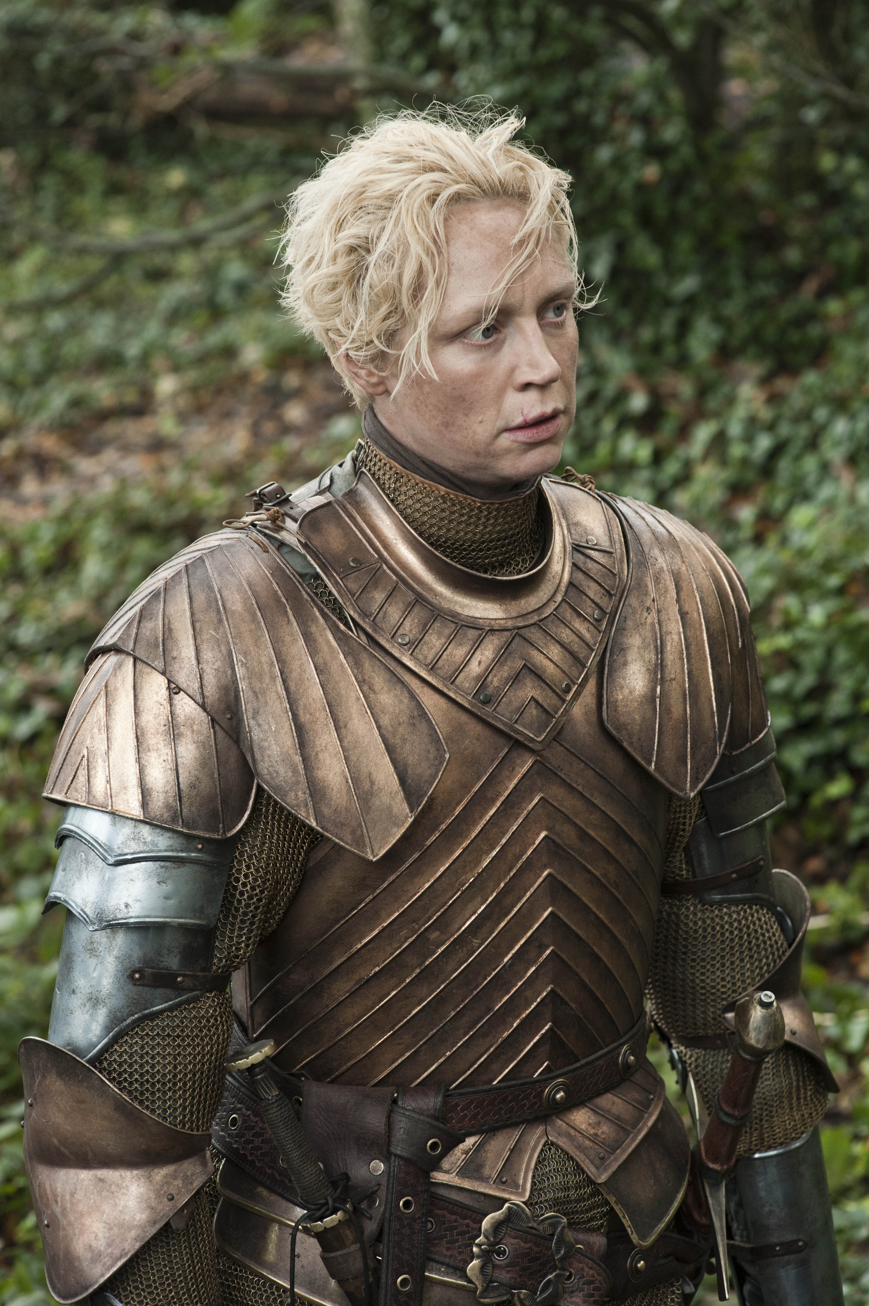 Brienne Of Tarth Wallpapers Wallpaper Cave