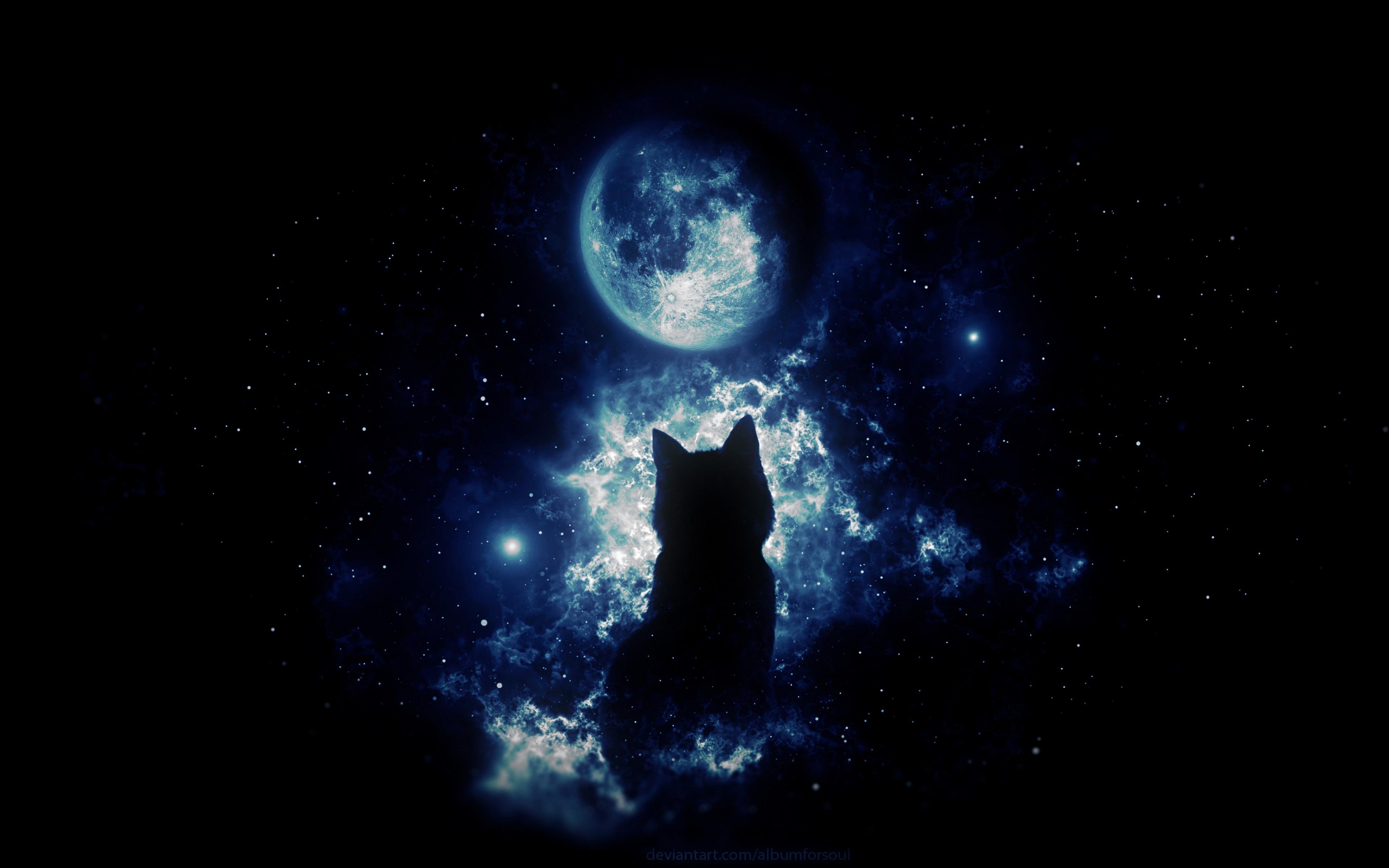 Download wallpaper 3840x2400 cat, silhouette, moon, starry sky, art