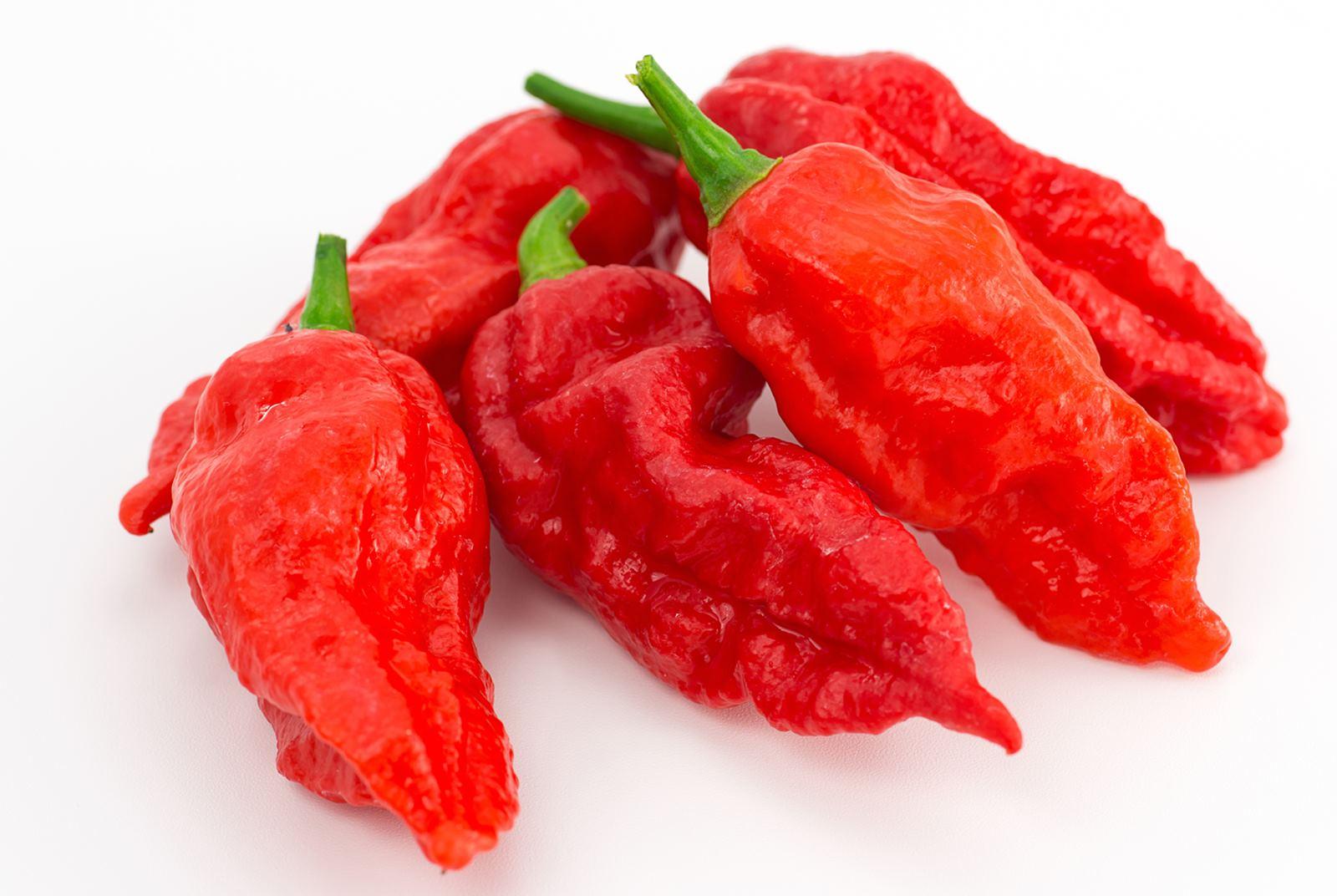 Ghost Pepper HD Wallpapers.