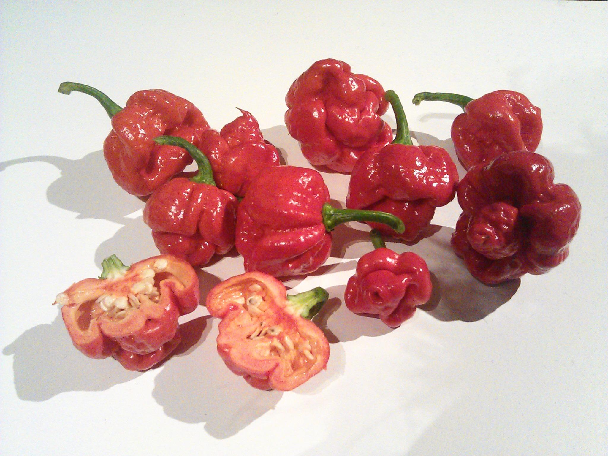 News's hottest pepper sends man to hospital Weather