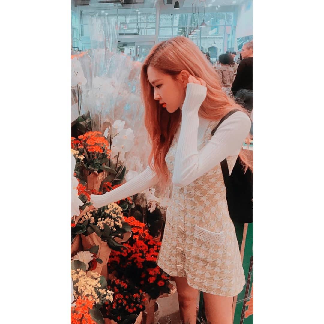 roséwallpaper Instagram posts (photos and videos)