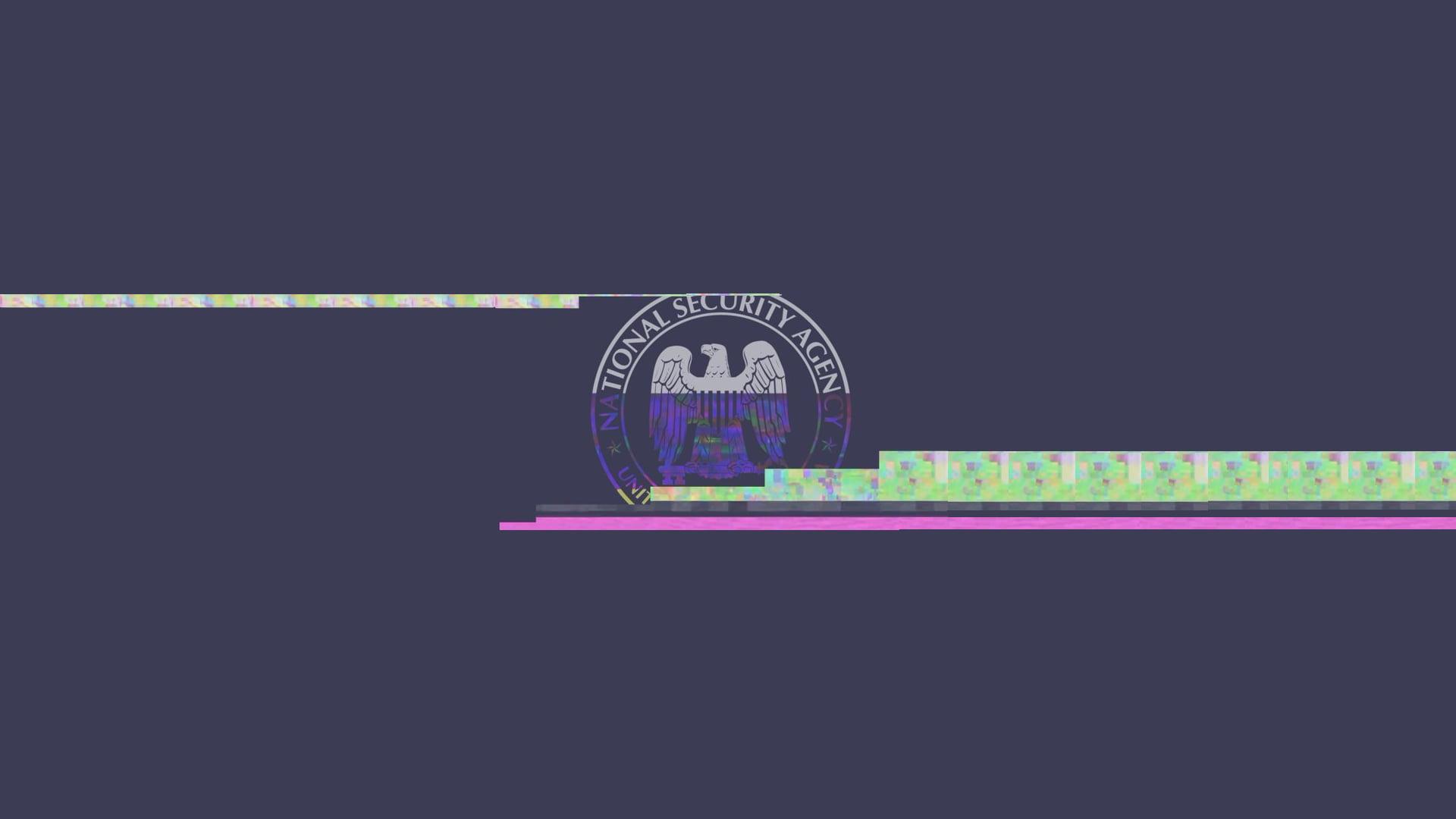 National Security Agency logo, NSA, security, glitch art HD