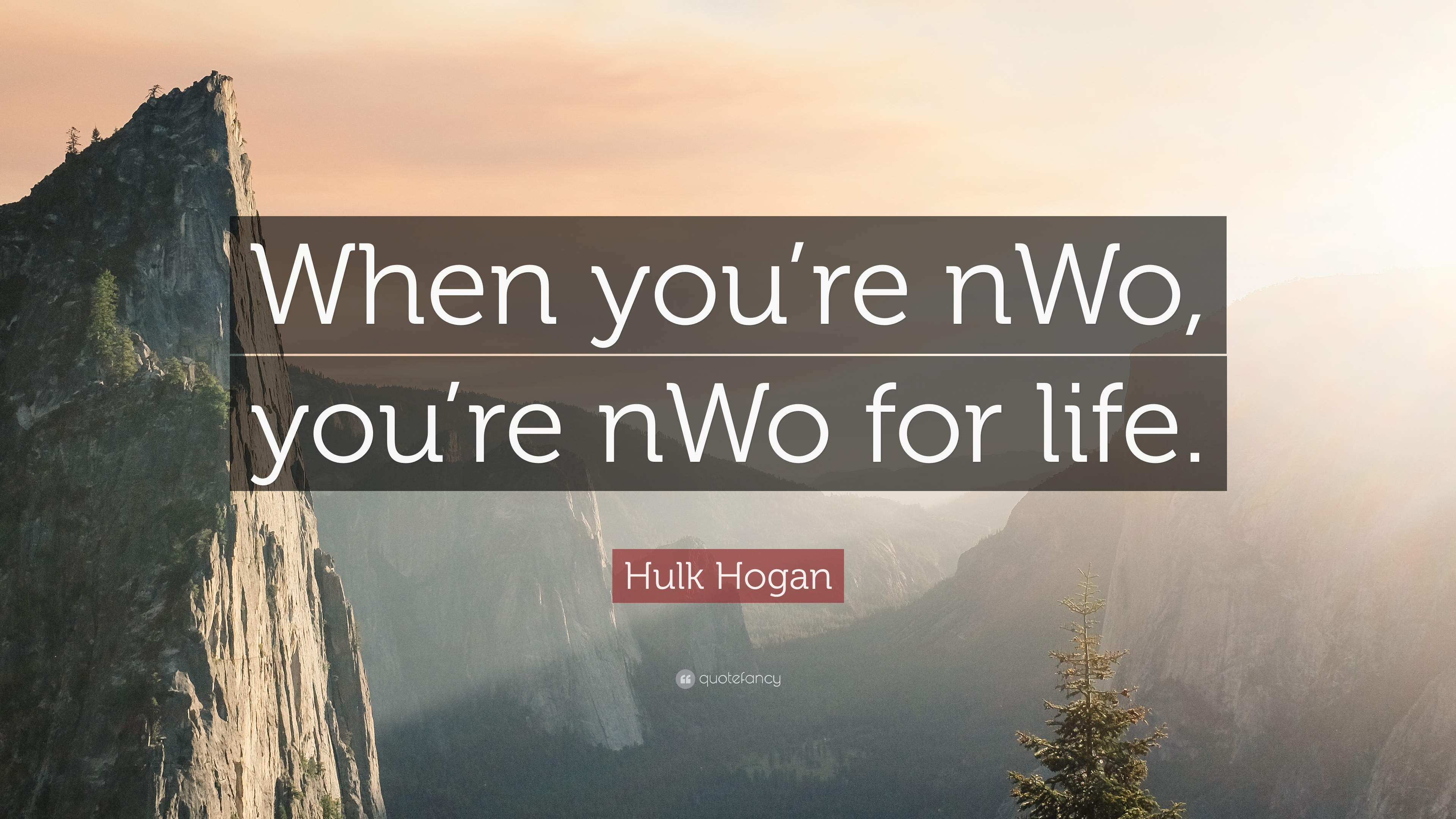 Hulk Hogan Quote: “When you're nWo, you're nWo for life.” 7