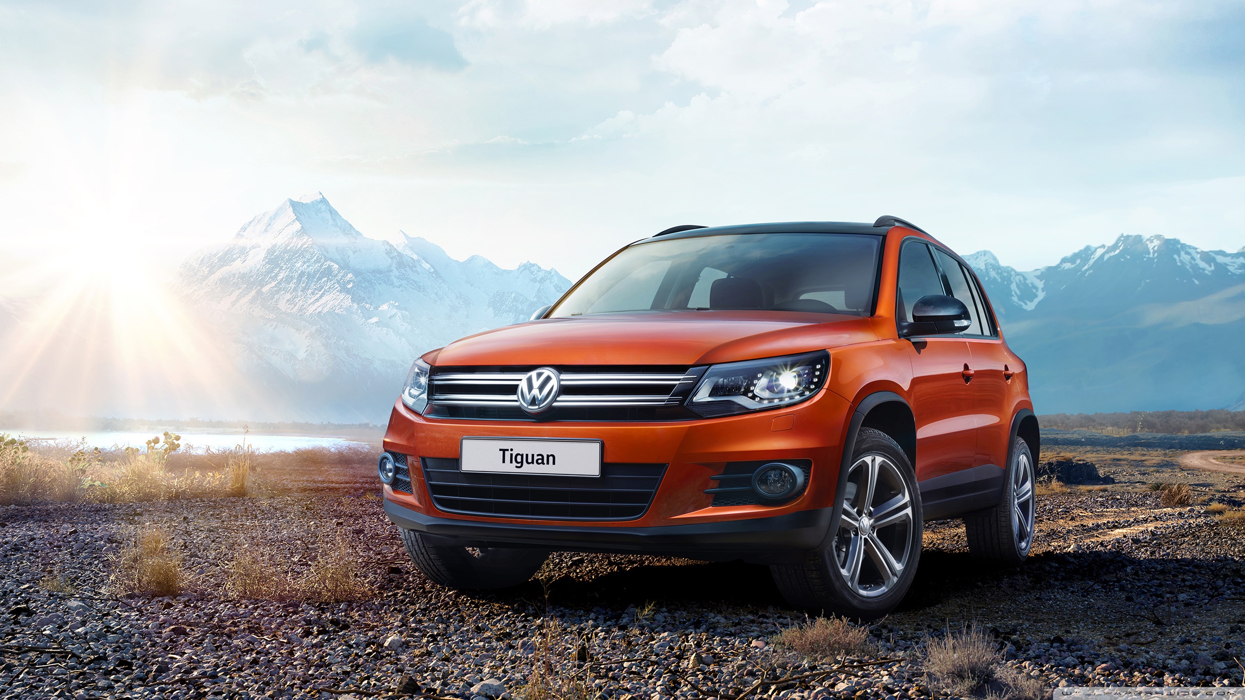 Volkswagen Tiguan SUV ❤ 4K HD Desktop Wallpaper for • Wide