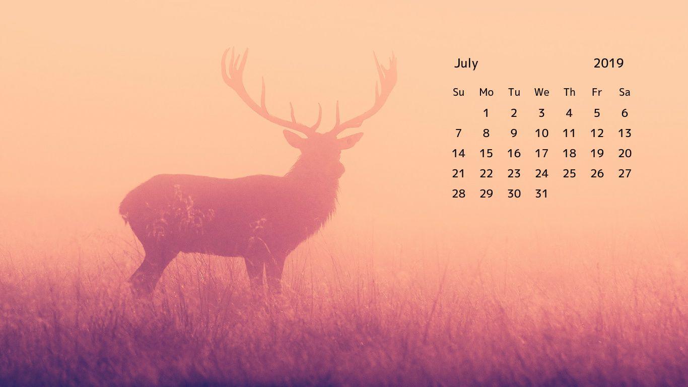 july 2019 calendar wallpaper Calendars in 2019