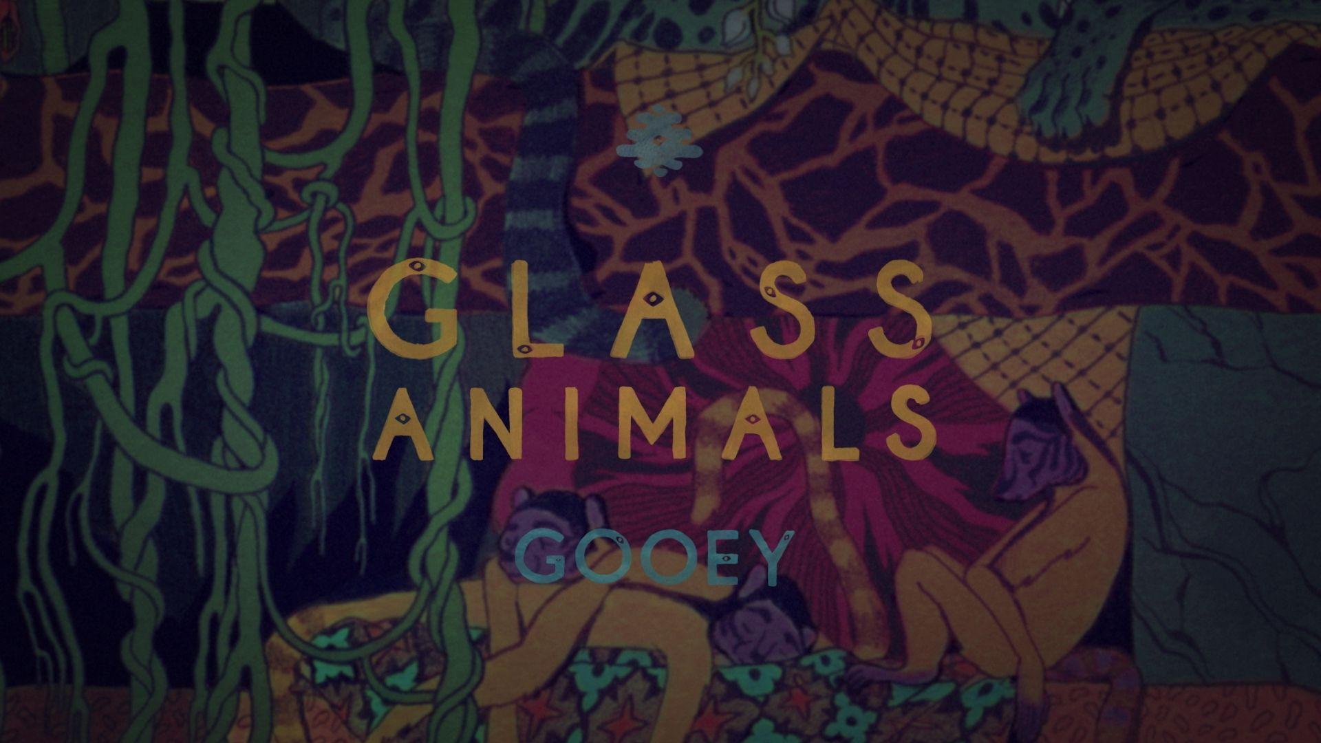 Glass Animals Wallpaper : Desktop Wallpapers Cats Fluffy Rain Drops