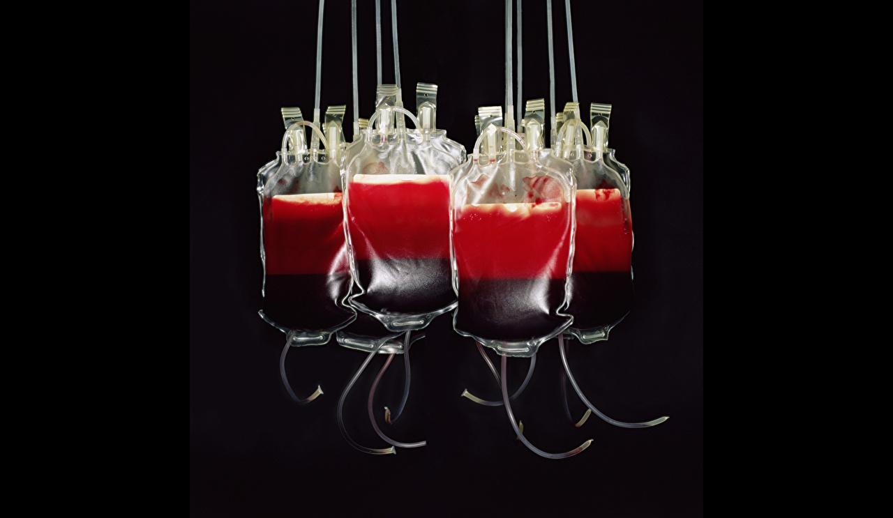 Wallpapers Blood blood bags blood transfusion blood donation