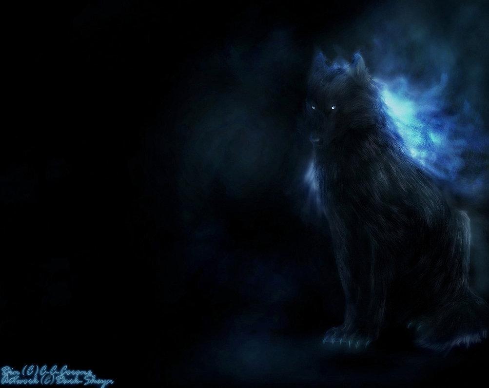 Wolves image wolves HD wallpaper and background photo