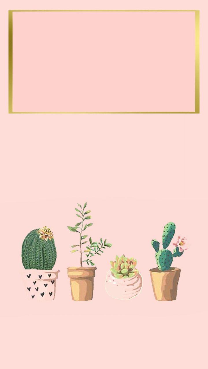 Colorful Cactuses Aesthetic  Wallpapers  Wallpaper  Cave