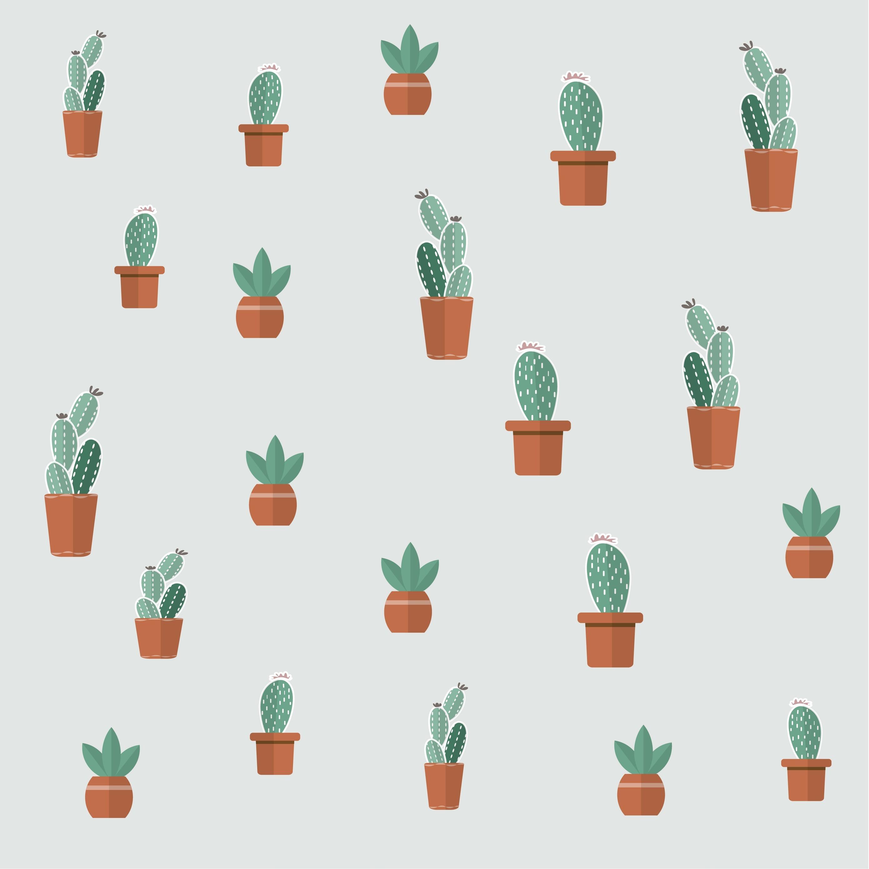 Download wallpaper 2780x2780 cacti, succulents, art, patterns ipad