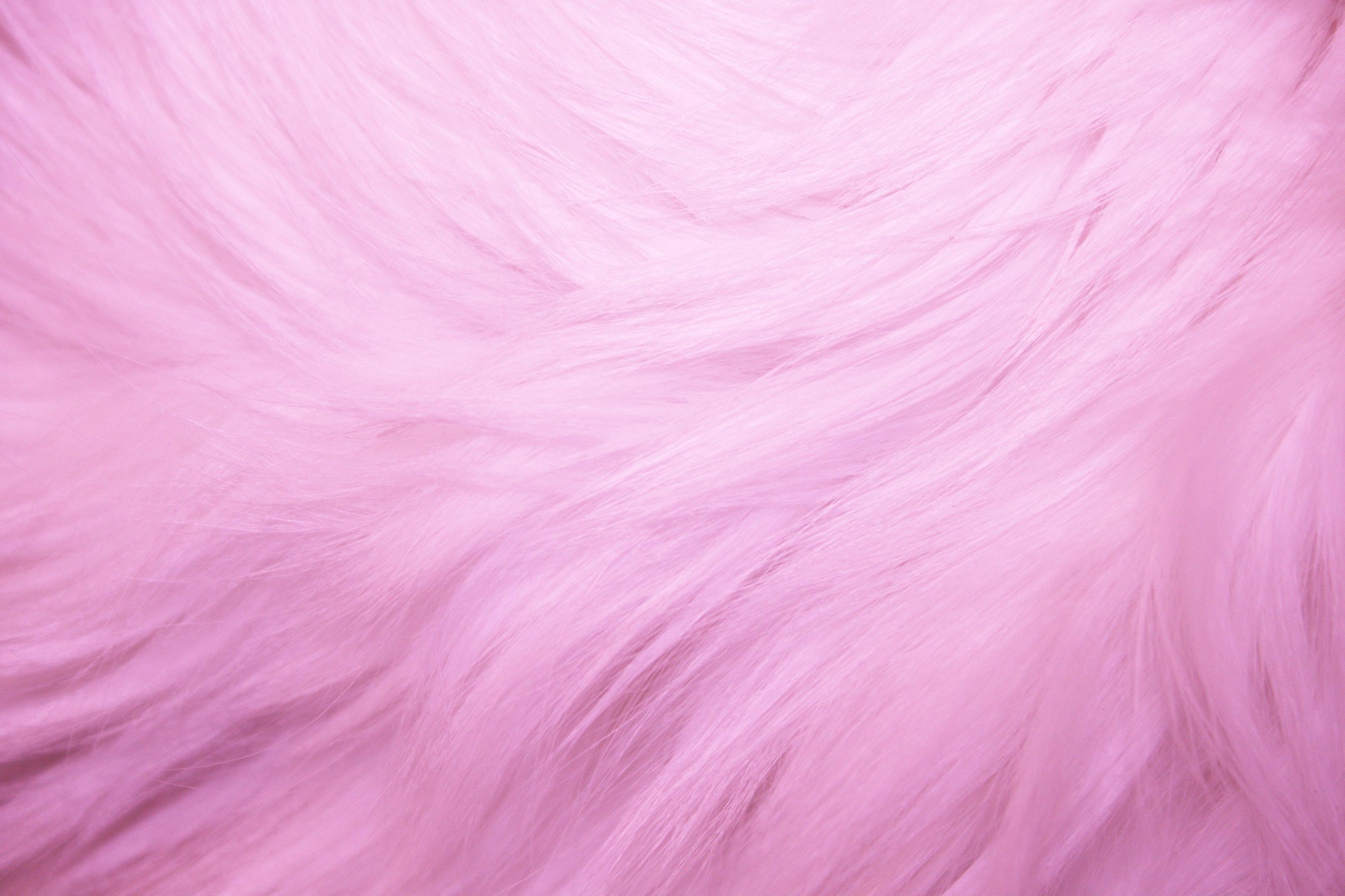 Free download Pink Fur Texture High Resolution Photo Dimensions