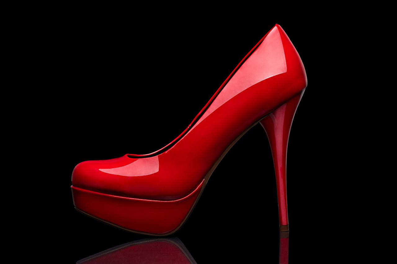 Download Heels wallpaper to your cell phone killers pumps 1280x853